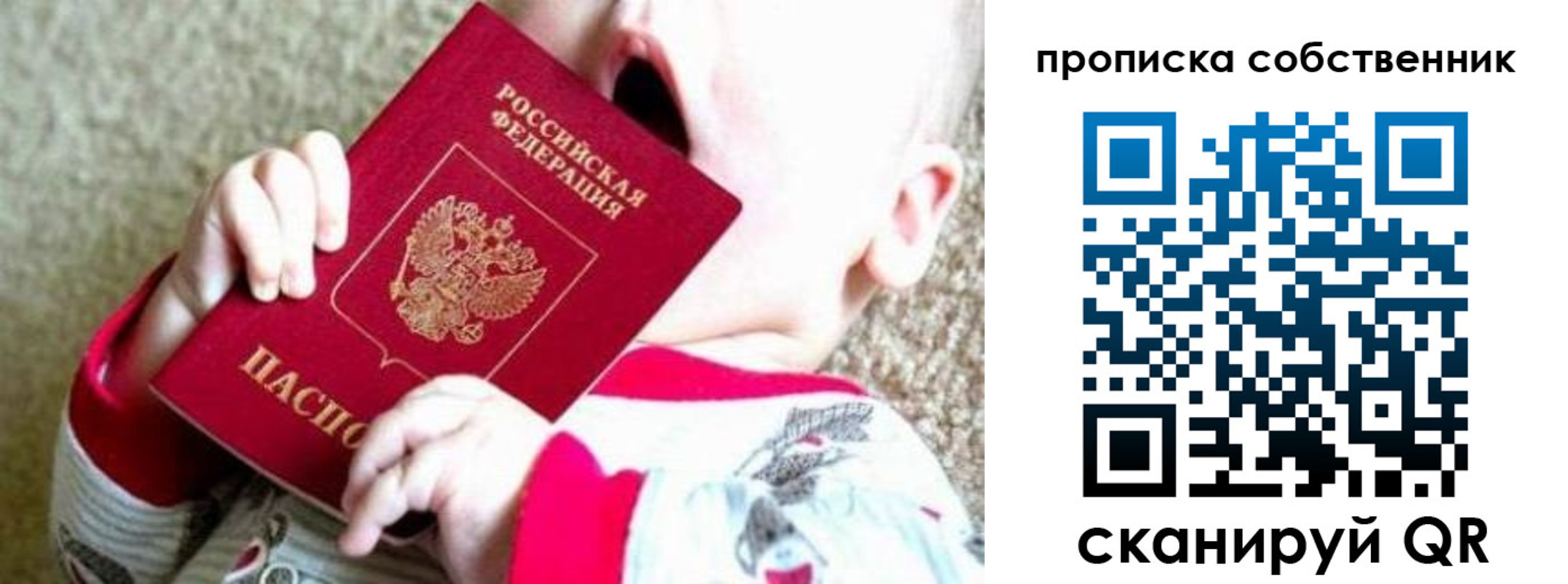 прописка для школы в Зарайске